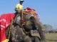 सौराहाको बाघमारा हात्ती महोत्सव सम्पन्न