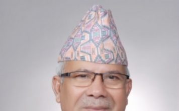 दुई पार्टीबीच एकताको प्रयास भइरहेको : नेता नेपाल