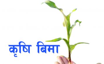 कृषि बीमामा आकर्षित हुँदै रुपन्देहीका किसान