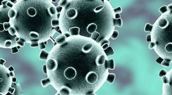 सावधान ! कोरोना भाईसरको महामारी र नेपाल भ्रमणवर्ष २०२०