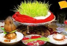 कोजाग्रत पूर्णिमासँगै बडादसैं समापन